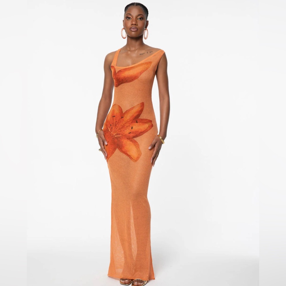 Hanifa flora sheer maxi dress